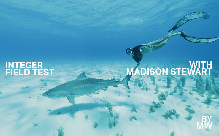 Kokonaislukukenttätesti